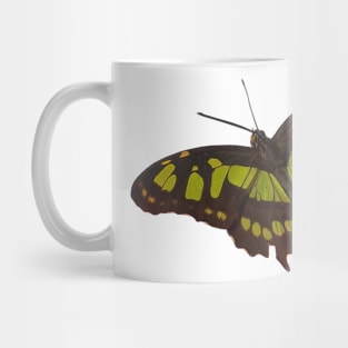 butterfly Mug